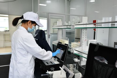 朵朵黑木耳串起創(chuàng)新產業(yè)鏈 防疫健康包助農惠民兩相宜