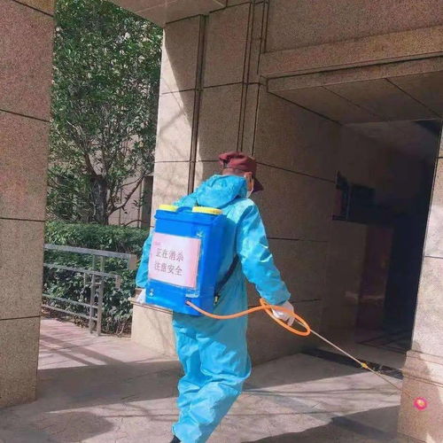 安全大過天 防寒防疫兩不誤 以“防疫健康包”為抓手，全力守護業(yè)主健康安全